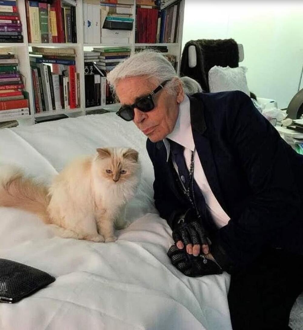 Mačka Šupet, Karl Lagerfeld