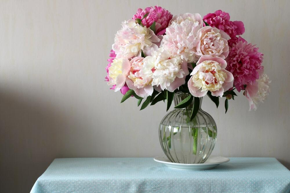foto: Shutterstock/MaskaRad