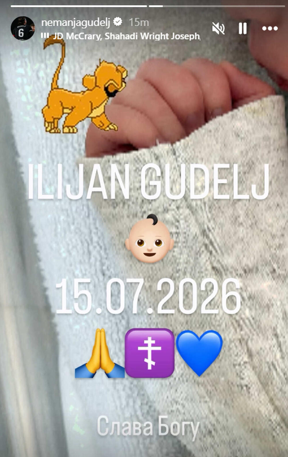 Nemanja Gudelj, Anastasija Ražnatović