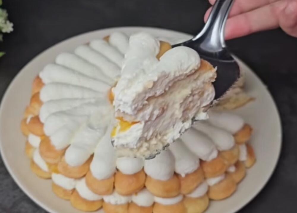 Lagana, kremasta torta od piškota i kajsija