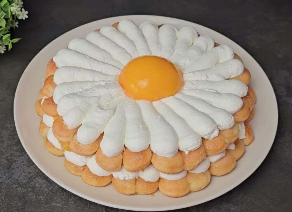 Torta od kajsija i piškota
