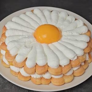 Kremasta torta od piškota za 5 minuta: Kajsije joj daju posebnu slast, a izgleda kao iz poslastičarnice