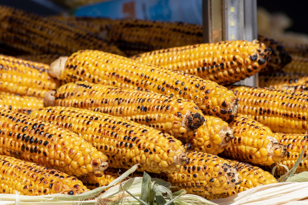 Pečeni kukuruz u klipu