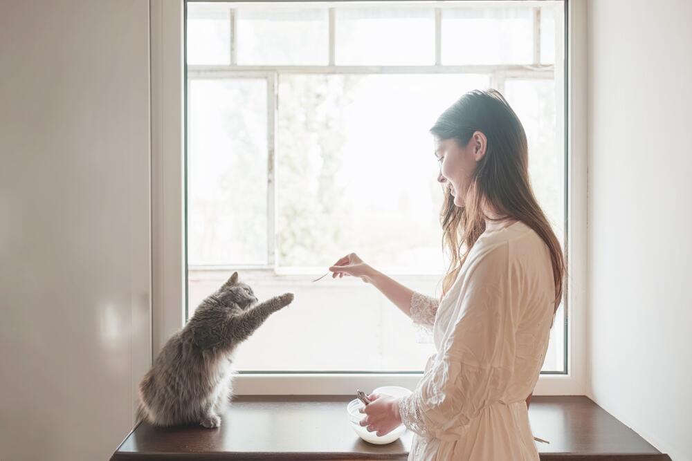 foto: Shutterstock/alexgo.photography