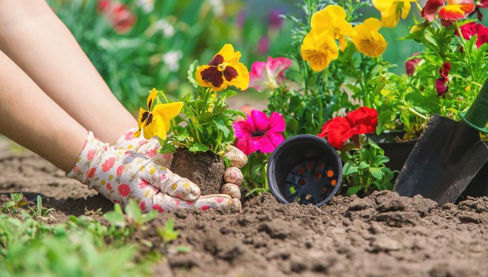 foto: Shutterstock/Tatevosian Yana