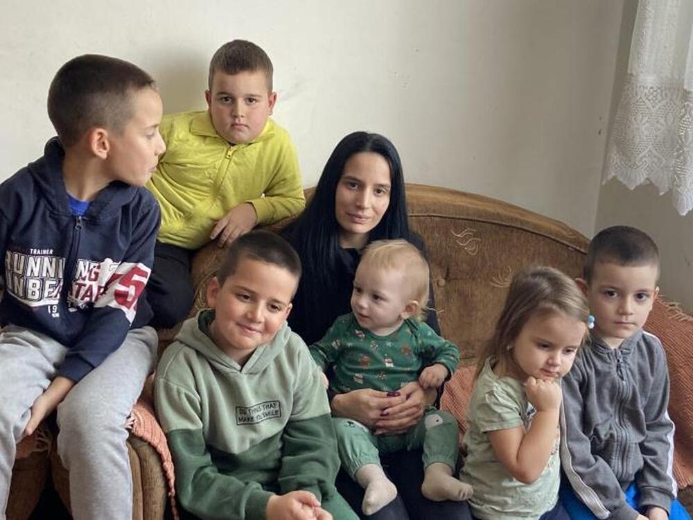 PORODICA DOBRICE ERIĆA 