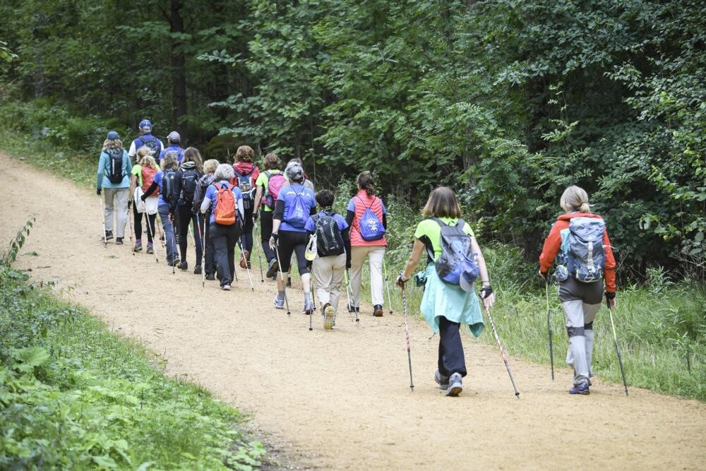 Grupa 'nordijskih hodača'