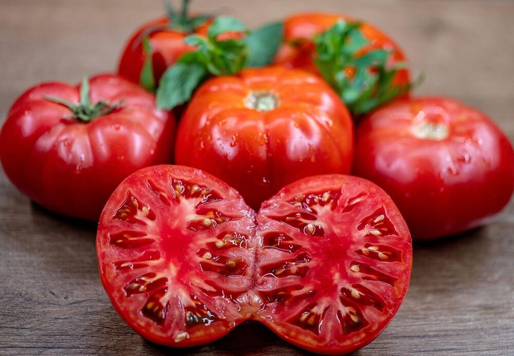 foto: Shutterstock / Hatice Bakcepinar