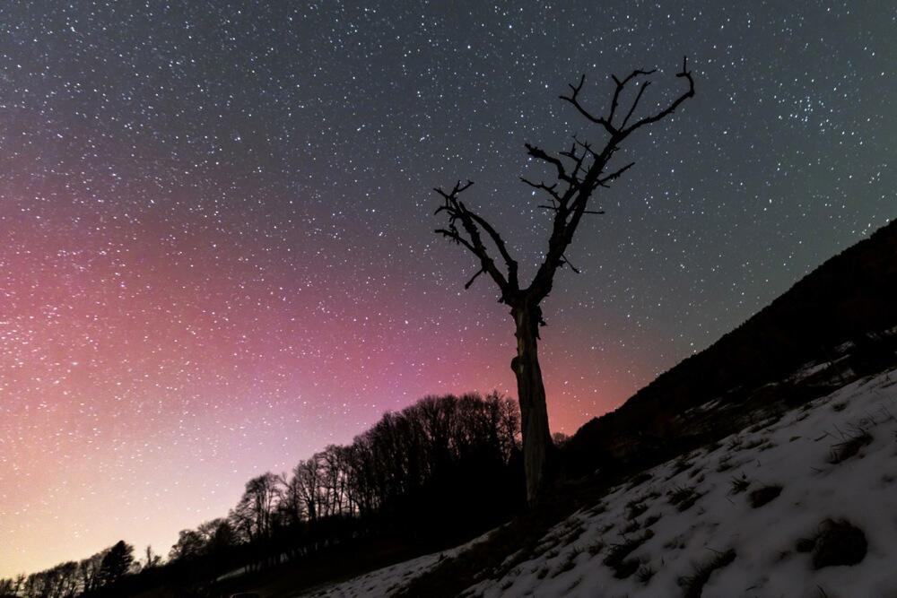 Astrološka prognoza za 18. oktobar
