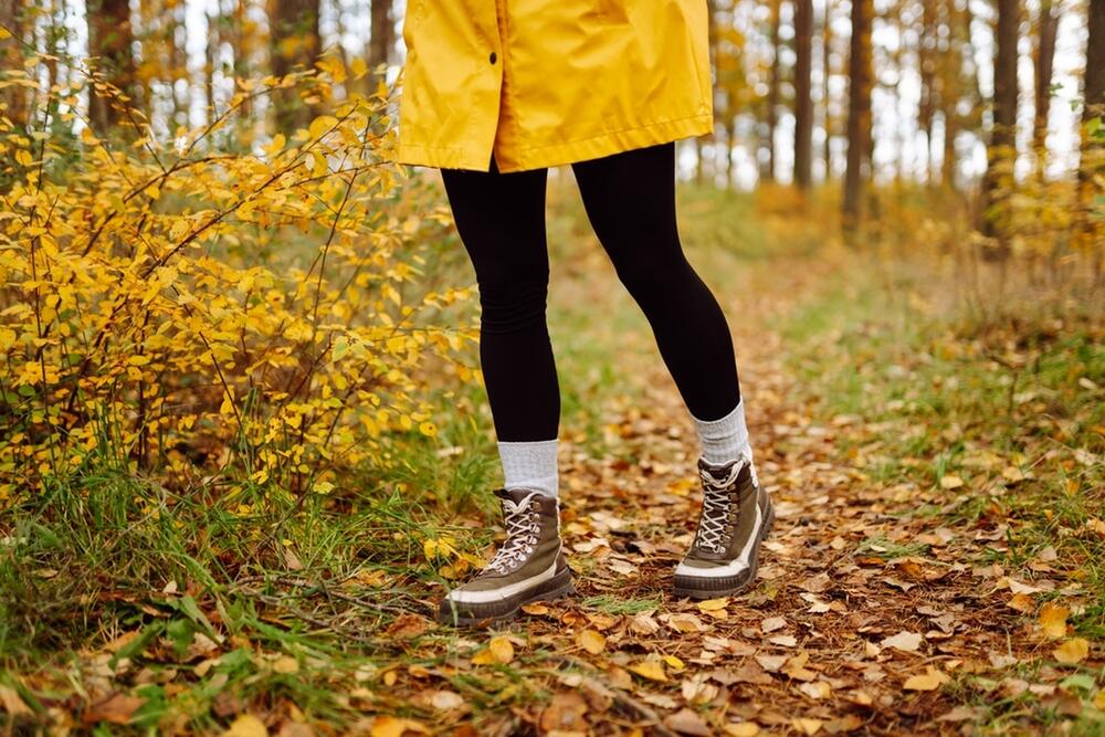 foto: Shutterstock / maxbelchenko