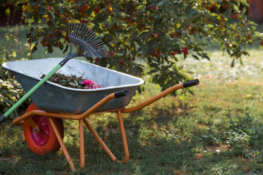 foto: Shutterstock / PhotoJuli86