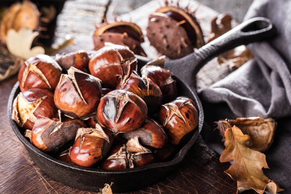 foto: Shutterstock / KarepaStock