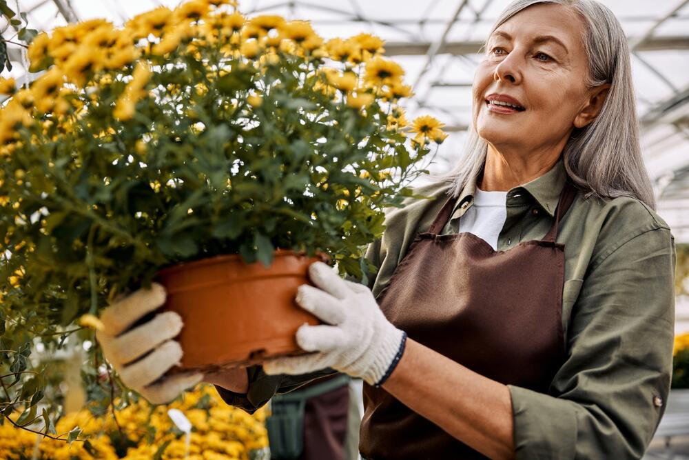 foto: Shutterstock / Harbucks