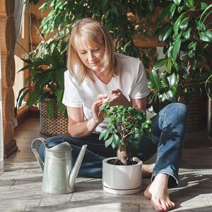 Živa voda je najbolje đubrivo za sve sobne biljke: Jednostavan recept da brže rastu, češće cvetaju i duže žive