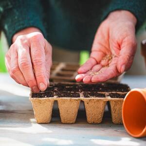 Posejte ovu biljku prvog dana proleća: Ako raste kao korov, sreća će biti na vašoj strani, a ima i jedan uslov