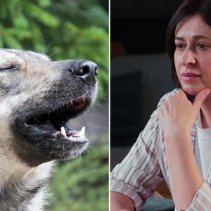 Ana i Viktor nikako nisu mogli da dobiju dete: Ona se molila, a on je pio, a onda je našla mladunče vuka, ali na ono što je usledilo - nije bila spremna