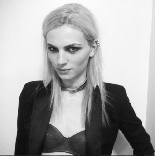 Andreja Pejić, foto: Instagram